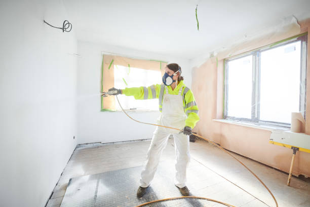 Best Black Mold Removal  in Mission Viejo, CA