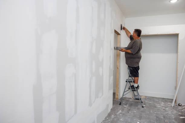 Trusted Mission Viejo, CA Mold Removal Experts