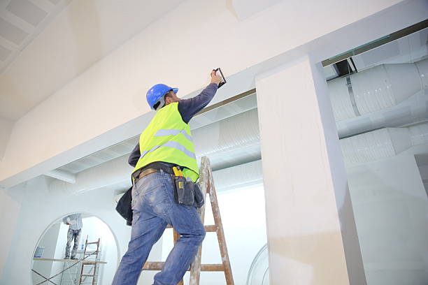 Best Attic Mold Removal  in Mission Viejo, CA